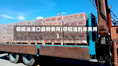 棕榈油港口最新费用(棕榈油到岸费用)-第3张图片
