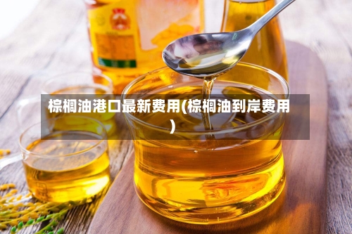 棕榈油港口最新费用(棕榈油到岸费用)-第2张图片