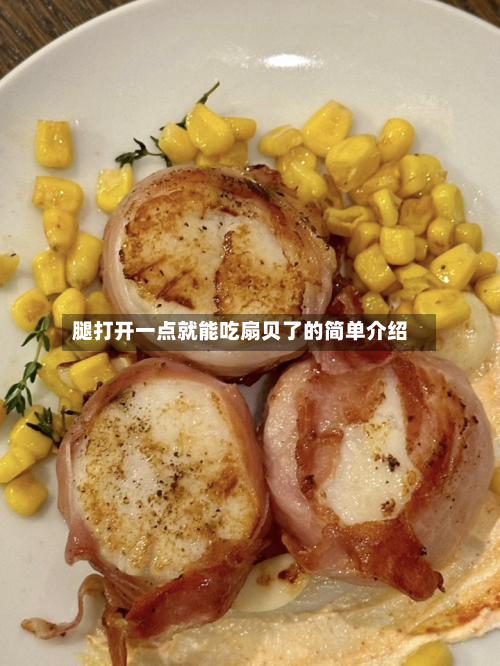 腿打开一点就能吃扇贝了的简单介绍-第2张图片