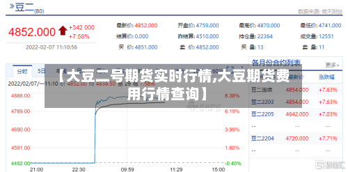 【大豆二号期货实时行情,大豆期货费用行情查询】-第2张图片