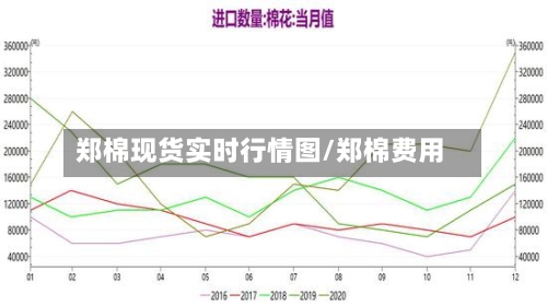 郑棉现货实时行情图/郑棉费用