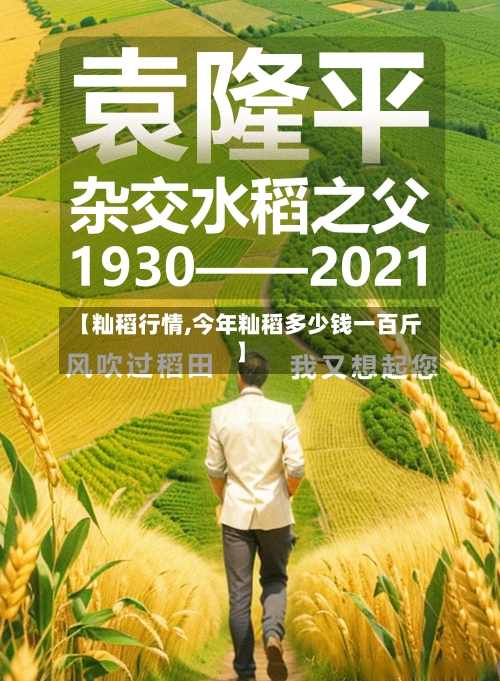 【籼稻行情,今年籼稻多少钱一百斤】-第2张图片