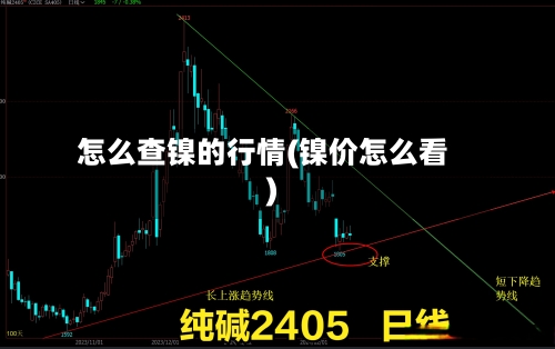 怎么查镍的行情(镍价怎么看)