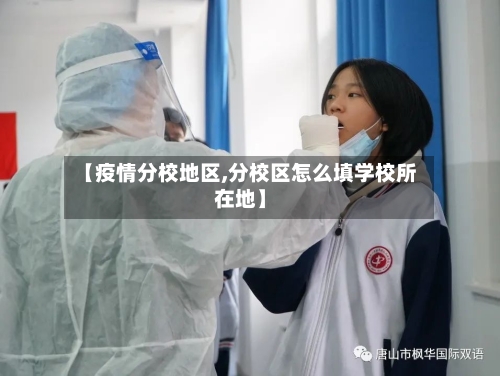 【疫情分校地区,分校区怎么填学校所在地】