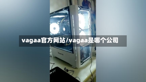 vagaa官方网站/vagaa是哪个公司-第2张图片