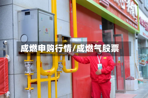 成燃申购行情/成燃气股票-第3张图片