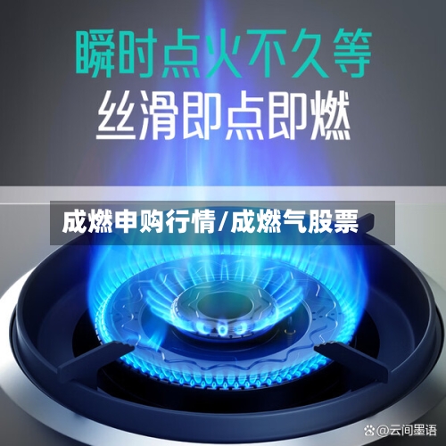成燃申购行情/成燃气股票-第2张图片