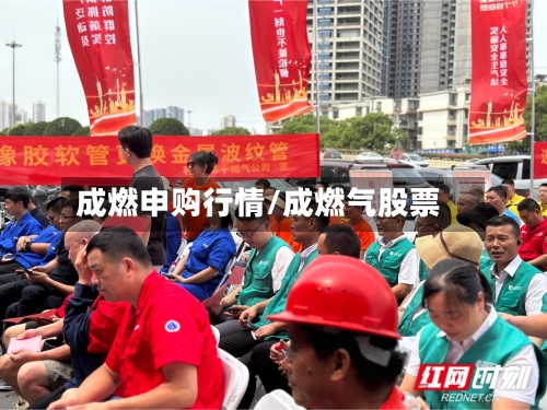 成燃申购行情/成燃气股票
