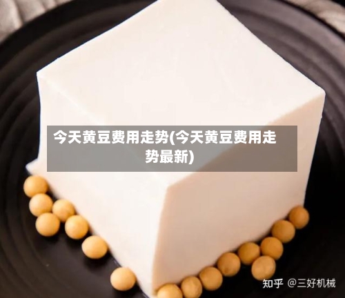 今天黄豆费用走势(今天黄豆费用走势最新)-第2张图片