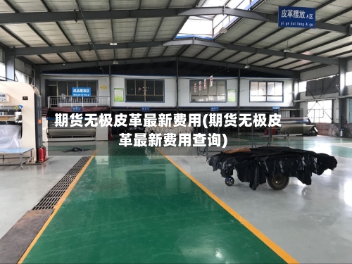 期货无极皮革最新费用(期货无极皮革最新费用查询)-第2张图片