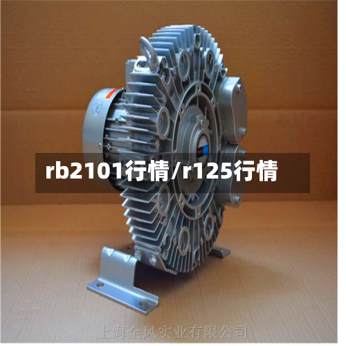 rb2101行情/r125行情