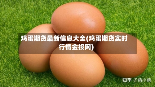 鸡蛋期货最新信息大全(鸡蛋期货实时行情金投网)