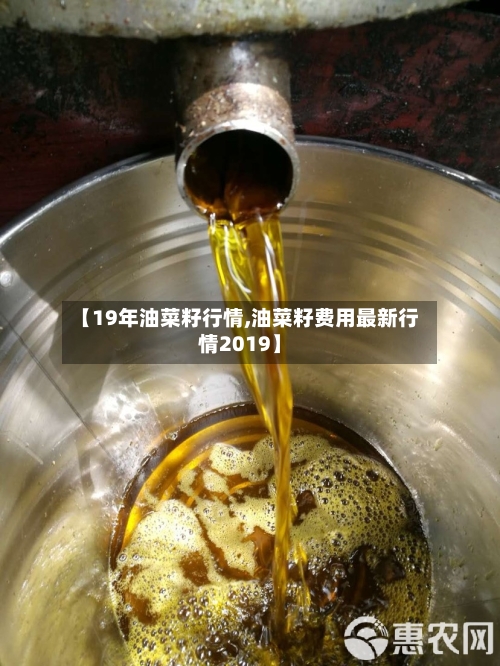 【19年油菜籽行情,油菜籽费用最新行情2019】