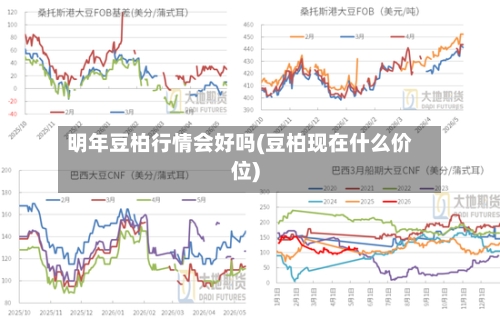 明年豆柏行情会好吗(豆柏现在什么价位)