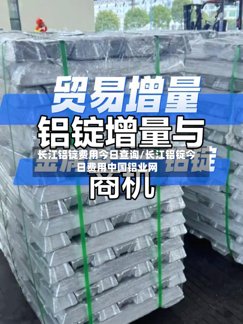 长江铝锭费用今日查询/长江铝锭今日费用中国铝业网-第2张图片