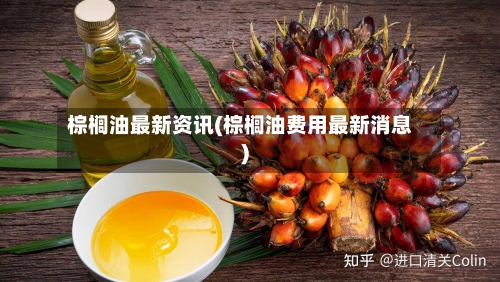 棕榈油最新资讯(棕榈油费用最新消息)