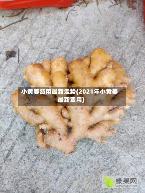 小黄姜费用最新走势(2021年小黄姜最新费用)