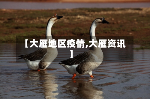 【大雁地区疫情,大雁资讯】