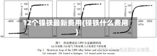 12个镍铁最新费用(镍铁什么费用)