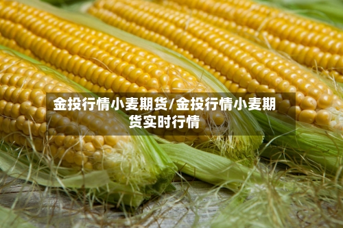 金投行情小麦期货/金投行情小麦期货实时行情-第3张图片