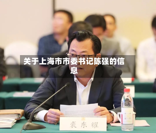 关于上海市市委书记陈强的信息-第3张图片