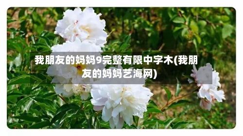 我朋友的妈妈9完整有限中字木(我朋友的妈妈艺海网)-第2张图片