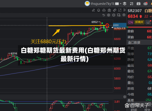 白糖郑糖期货最新费用(白糖郑州期货最新行情)