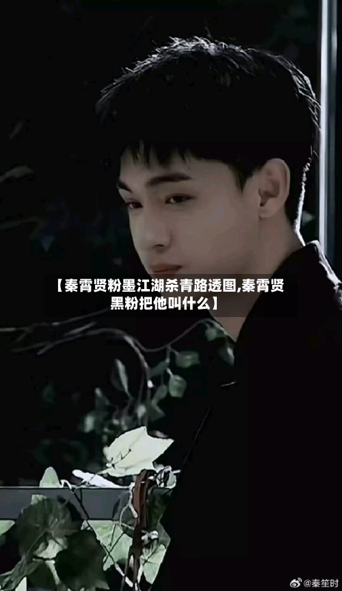 【秦霄贤粉墨江湖杀青路透图,秦霄贤黑粉把他叫什么】