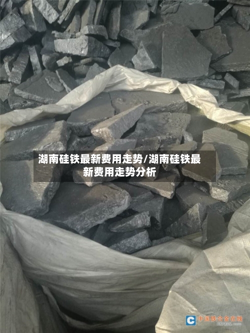 湖南硅铁最新费用走势/湖南硅铁最新费用走势分析