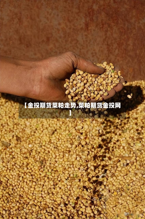 【金投期货菜粕走势,菜粕期货金投网】-第2张图片