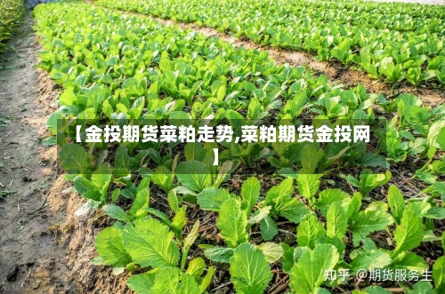 【金投期货菜粕走势,菜粕期货金投网】