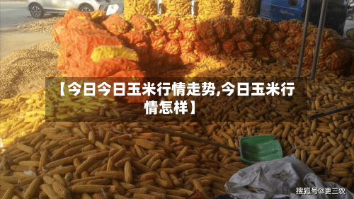 【今日今日玉米行情走势,今日玉米行情怎样】
