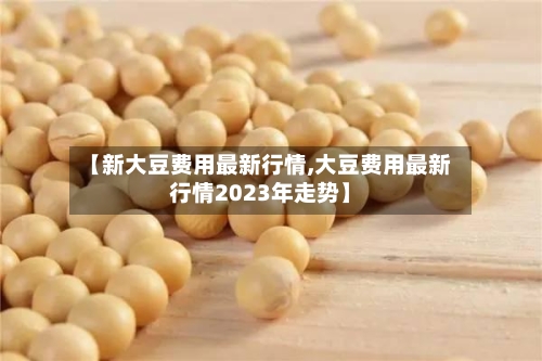 【新大豆费用最新行情,大豆费用最新行情2023年走势】