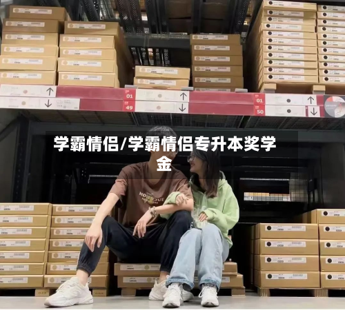 学霸情侣/学霸情侣专升本奖学金-第2张图片