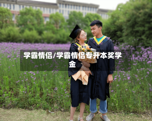 学霸情侣/学霸情侣专升本奖学金