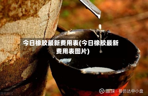 今日橡胶最新费用表(今日橡胶最新费用表图片)-第2张图片
