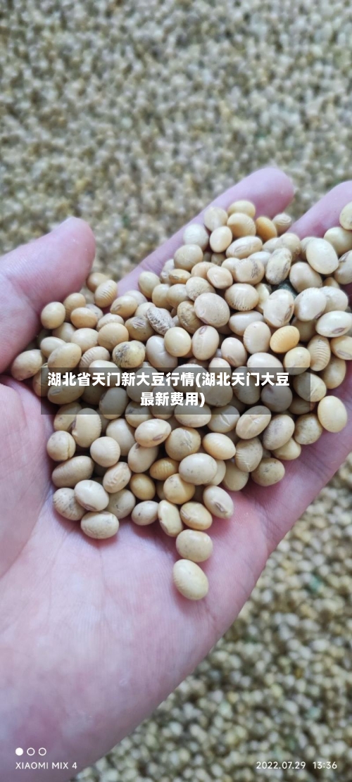 湖北省天门新大豆行情(湖北天门大豆最新费用)-第2张图片