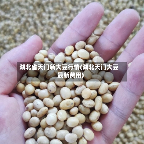 湖北省天门新大豆行情(湖北天门大豆最新费用)