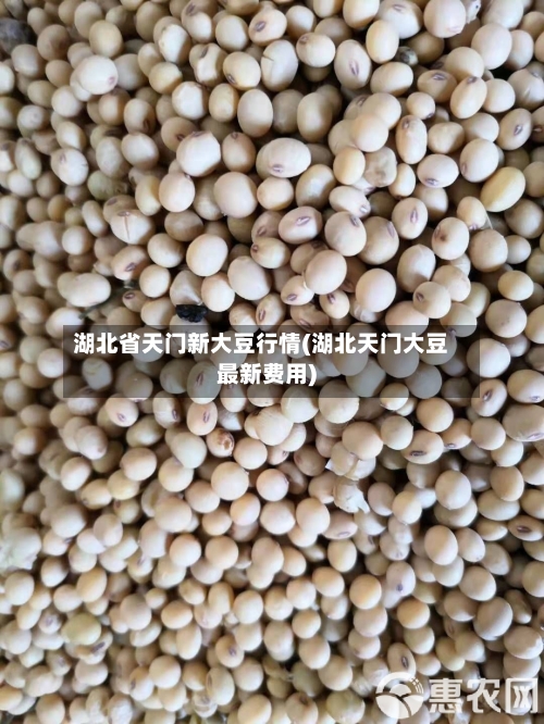 湖北省天门新大豆行情(湖北天门大豆最新费用)-第3张图片