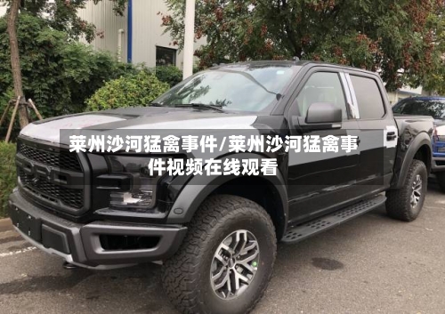莱州沙河猛禽事件/莱州沙河猛禽事件视频在线观看