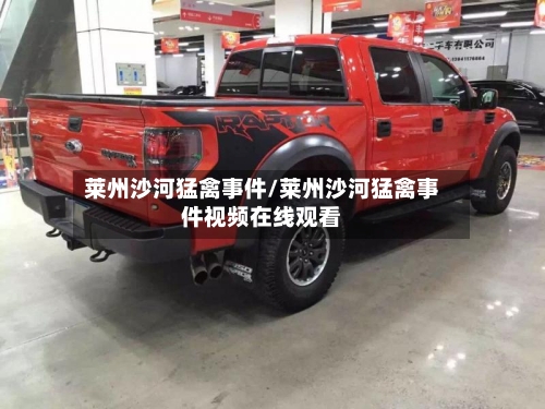 莱州沙河猛禽事件/莱州沙河猛禽事件视频在线观看-第2张图片