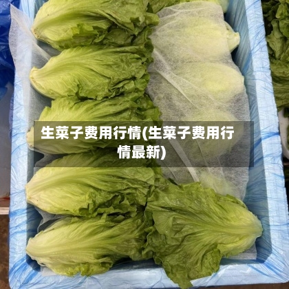 生菜子费用行情(生菜子费用行情最新)-第2张图片