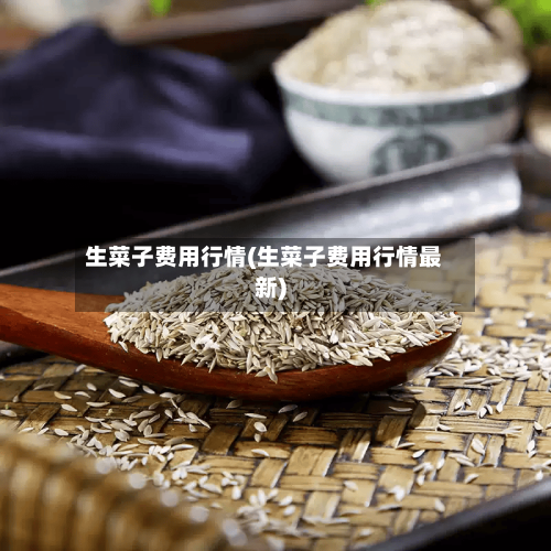 生菜子费用行情(生菜子费用行情最新)-第3张图片