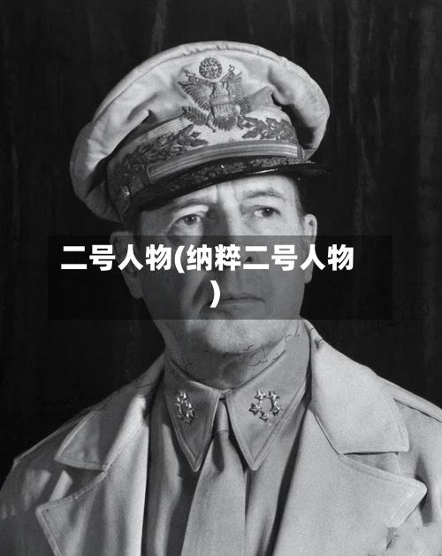 二号人物(纳粹二号人物)