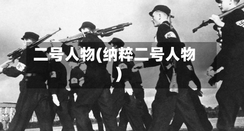 二号人物(纳粹二号人物)-第3张图片