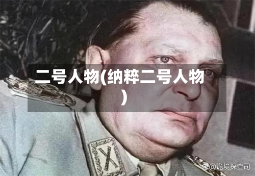 二号人物(纳粹二号人物)-第2张图片