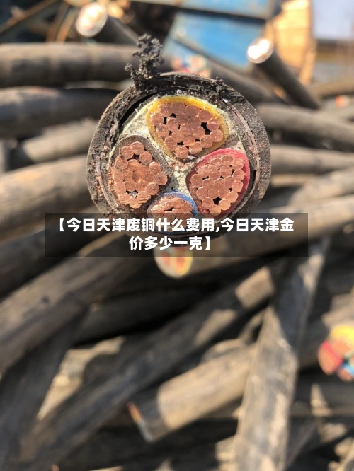 【今日天津废铜什么费用,今日天津金价多少一克】-第3张图片