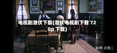电视剧潜伏下载(潜伏电视剧下载 720p 下载)-第2张图片
