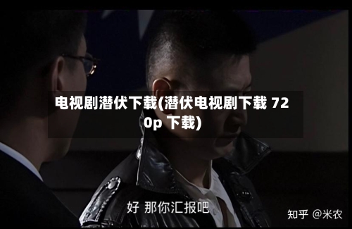 电视剧潜伏下载(潜伏电视剧下载 720p 下载)-第3张图片