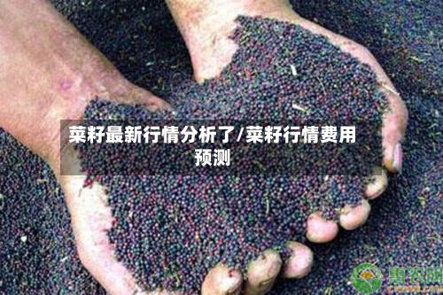 菜籽最新行情分析了/菜籽行情费用预测